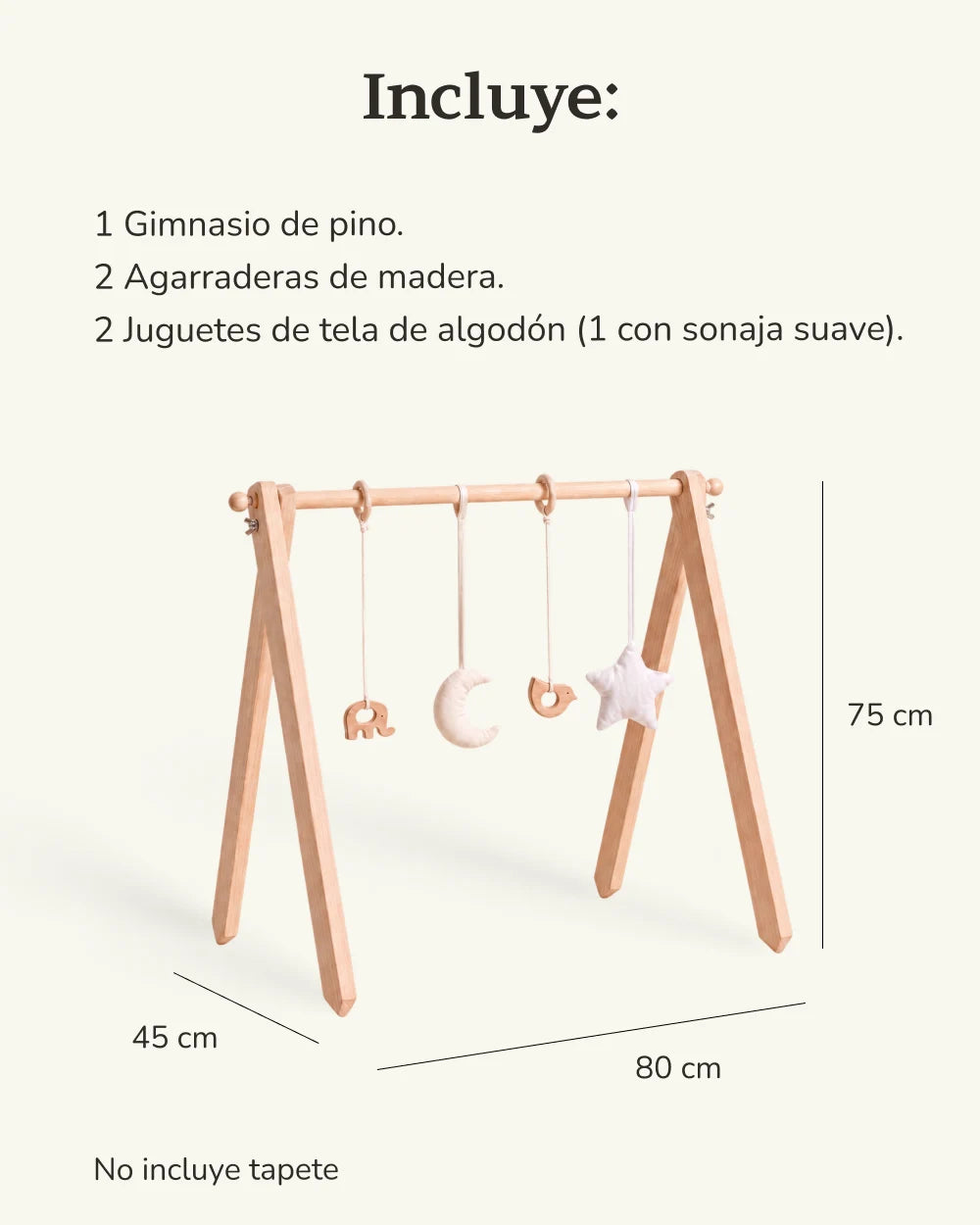 Gimnasio de Bebé - Brote Montessori