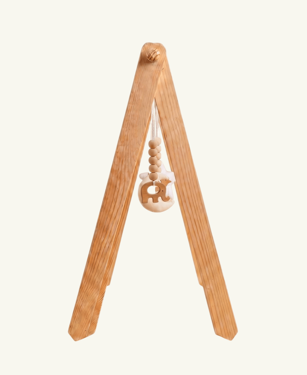 Gimnasio de Bebé - Brote Montessori