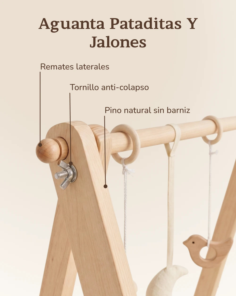 Gimnasio de Bebé - Brote Montessori