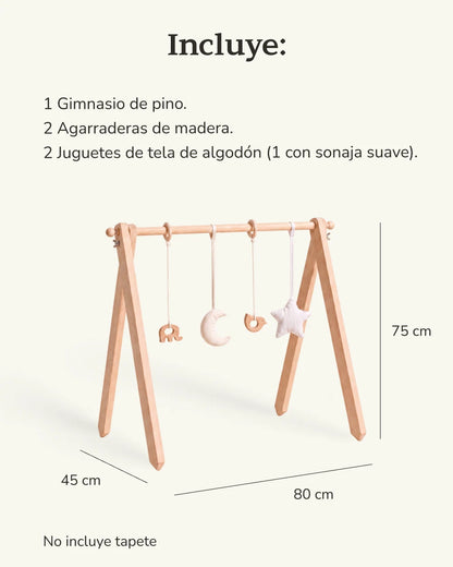 Gimnasio de Bebé - Brote Montessori